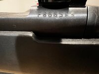 IMG_0127.jpeg