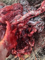 5398B4C1-B838-4504-B39E-1AD0BB5F9929.jpeg
