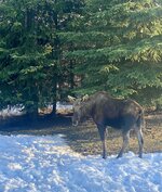 IMG_3706 2.jpeg