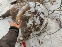 ram - Copy.jpg