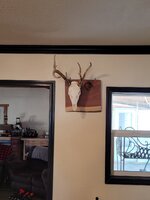 20220121_124822.jpg