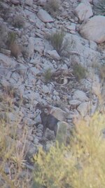 VideoCapture_20221202-124632 2.JPG