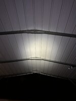 A8C6933D-A4F5-4043-80F4-72A8165C5767.jpeg