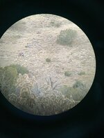 D111D0AB-1DB6-45B9-9076-903D2C96A694.jpeg