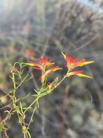 0F9D0478-8FAE-40D6-9661-92B5EC574A57.jpeg
