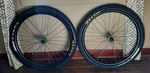 20221126_094126.jpg