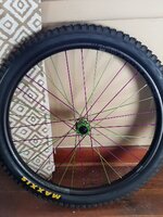 20221126_094232.jpg