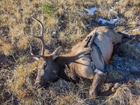 elk rifle.jpg