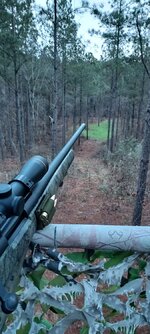 20220115_065214.jpg