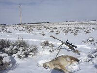 3AD06D46-557F-4396-9A51-CE8A7C9462C2.jpeg 3AD06D46-557F-4396-9A51-CE8A7C9462C2.jpeg