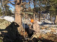 DCCB5B89-21D2-4508-9482-E69215AAC33B.jpeg DCCB5B89-21D2-4508-9482-E69215AAC33B.jpeg