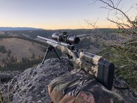 F920A44E-502F-4BB2-B9E2-AEA3539D72B3.jpeg F920A44E-502F-4BB2-B9E2-AEA3539D72B3.jpeg