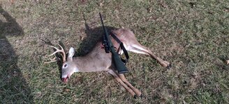 IMG_20221124_094640.jpg IMG_20221124_094640.jpg