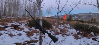 IMG_20201030_182057.jpg IMG_20201030_182057.jpg