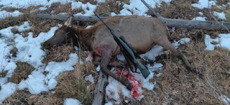 IMG_20201030_175609.jpg IMG_20201030_175609.jpg