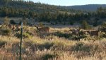 20170617_061243.jpg