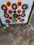 archery target 10.JPG