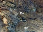 IMG_9020.jpg