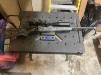 CA ridgeline weight.jpg