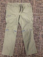 IMG_7615.jpeg