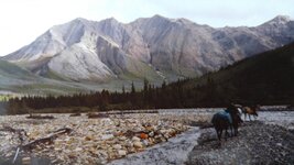 20160719_195142.jpg