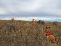 20211113_093057.jpg