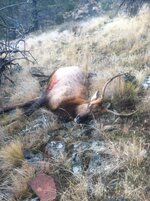 26F8618A-CB34-4F98-AE80-9E5A879DC768.jpeg 26F8618A-CB34-4F98-AE80-9E5A879DC768.jpeg