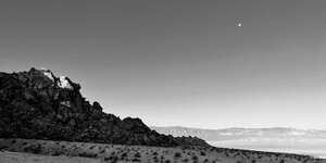 IMG_E3541.jpg