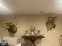 mounts.jpeg