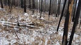 20191116_122941 - Copy.jpg