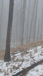 20191117_134613 - Copy.jpg