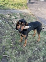 9D93A1AE-B62F-4F82-877F-69CAAE7B81AA.jpeg 9D93A1AE-B62F-4F82-877F-69CAAE7B81AA.jpeg