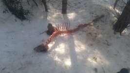 20220129_120335.jpg