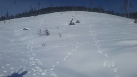 20220129_121638.jpg