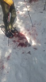 20220129_115955.jpg