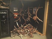 759D9224-3D68-42E1-A04E-6EBDFBDA8EF1.jpeg
