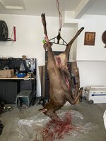 716186EE-4023-426F-A84F-695C78657E99.jpeg
