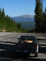 IMG_0293 (Large).JPG