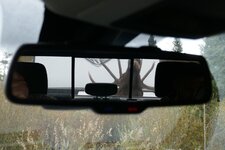 P1040154 (Large).JPG