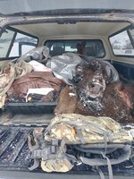 IMG_20220123_133645026.jpg