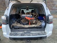 IMG_1685.jpeg