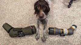 PXL_20221227_225749813.jpg PXL_20221227_225749813.jpg