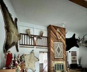 IMG_7023 2.jpeg