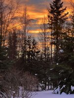IMG_7067.jpeg