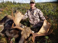 6d1a Eastern Canada Moose 28 Sep 2022 SDJ.jpg
