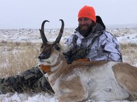 PRONGHORN 1.jpg
