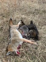 image3.jpeg image3.jpeg