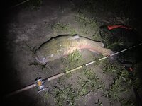 ADD4661F-ED8A-42A8-A567-D333FDF0BA7B.jpeg