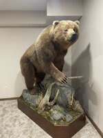 32909361-E214-4431-9EB7-E377B3605CF4.jpeg