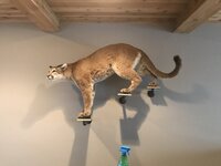 DD823856-78AD-4B91-9097-0B659BDFBCCA.jpeg